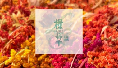 uTagGox糧莘庇護農場優惠 全品項享優惠